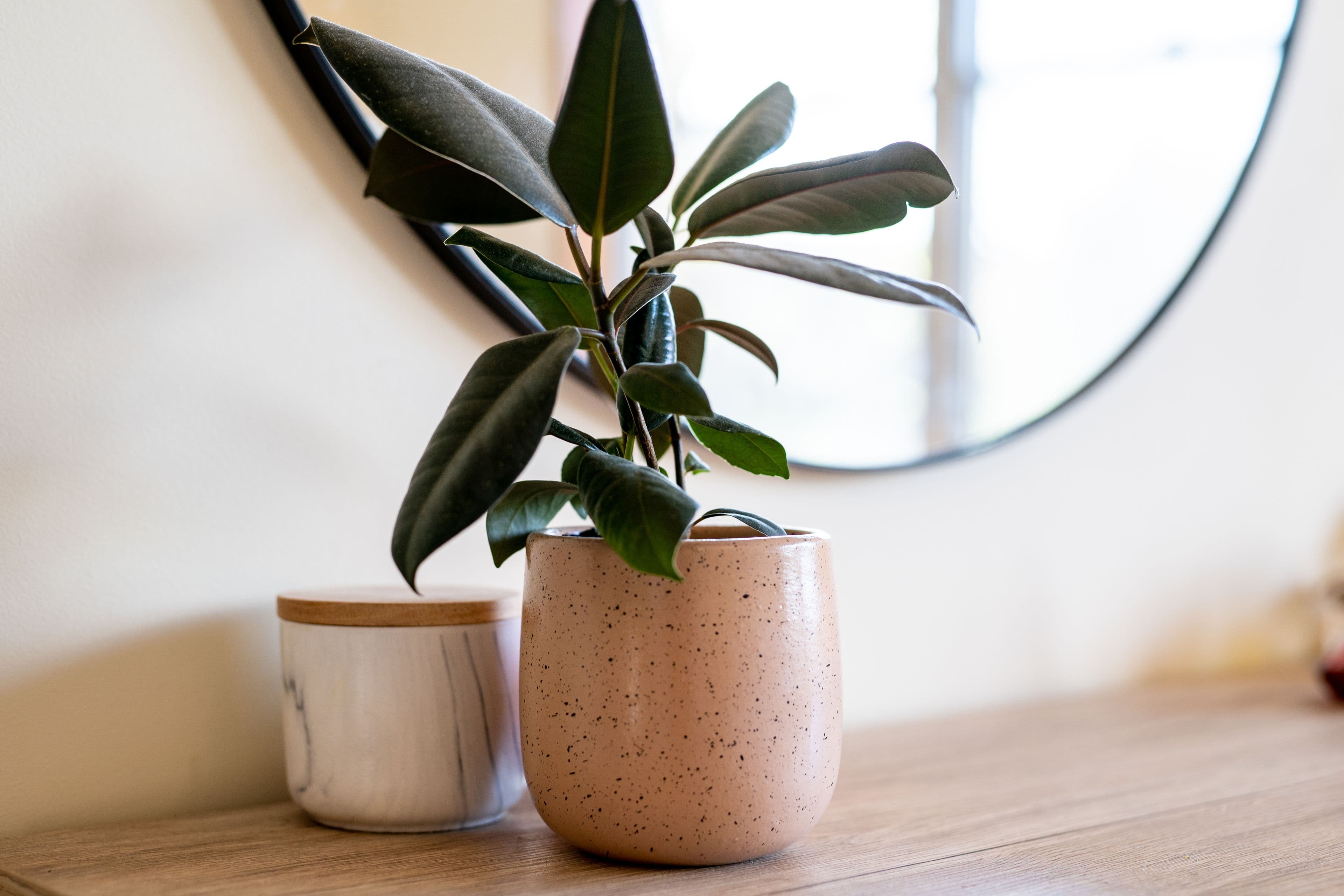 30 Lowndes Street, Kennington VIC 3550, Kennington - Thumbnail 6