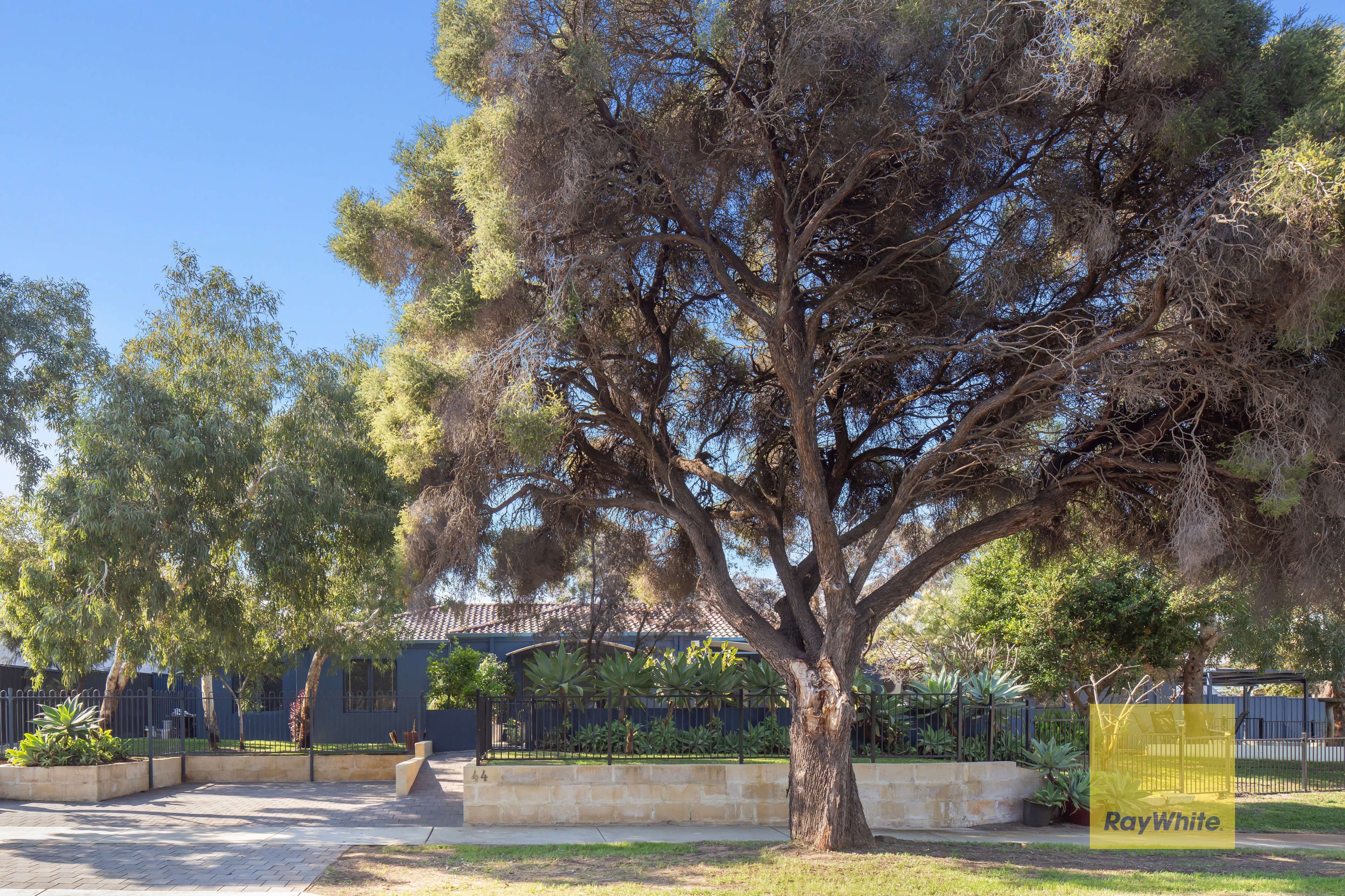 44 Oceanic Drive, Floreat WA 6014, Floreat - Thumbnail 2