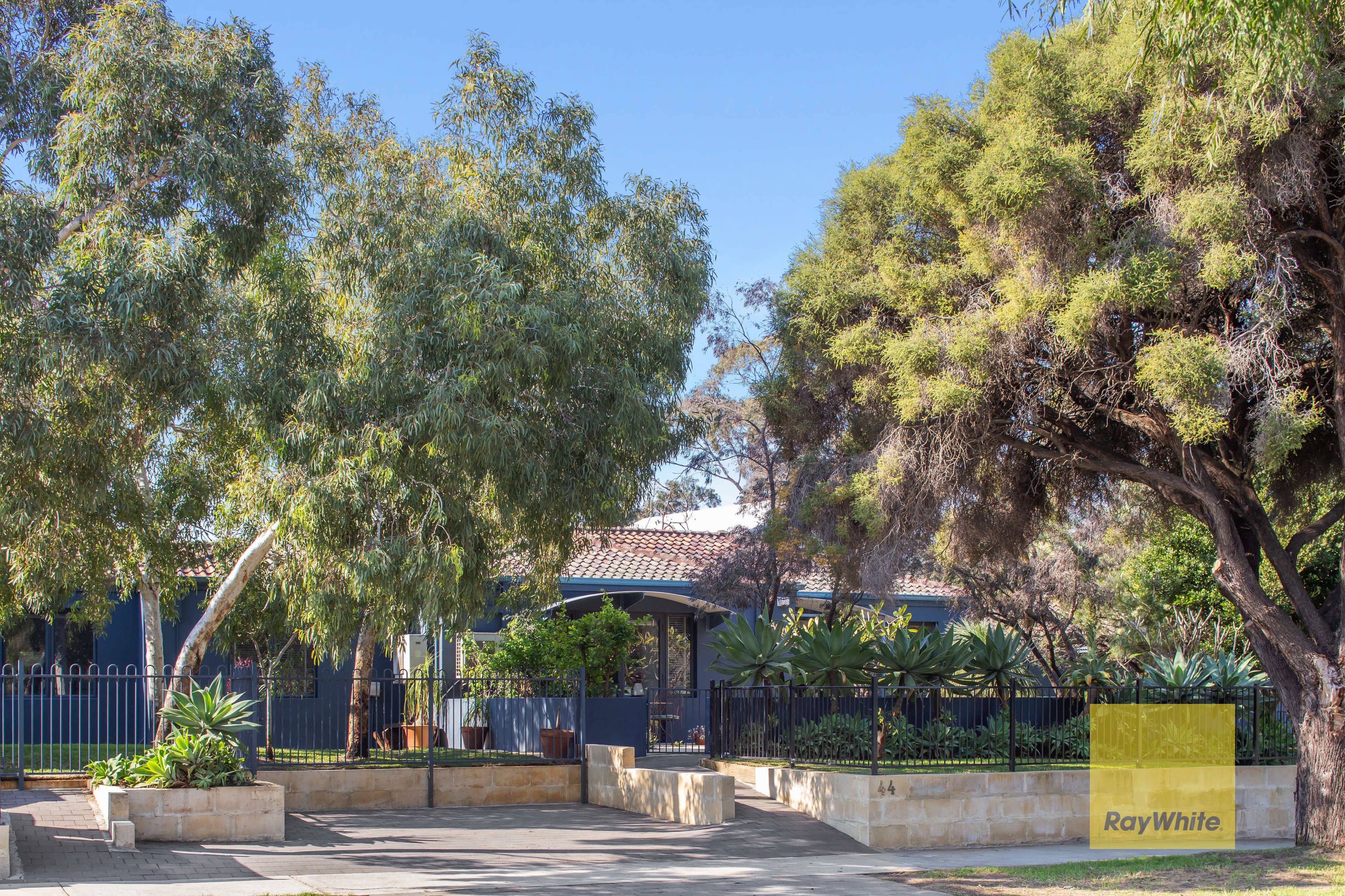 44 Oceanic Drive, Floreat WA 6014, Floreat - Thumbnail 3