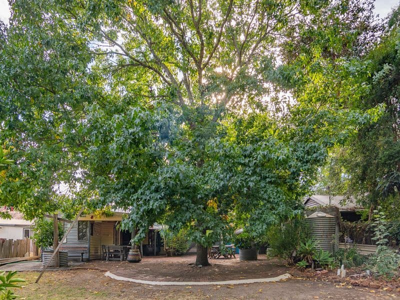29 Grange Road, Nannup WA 6275, Nannup - Thumbnail 5