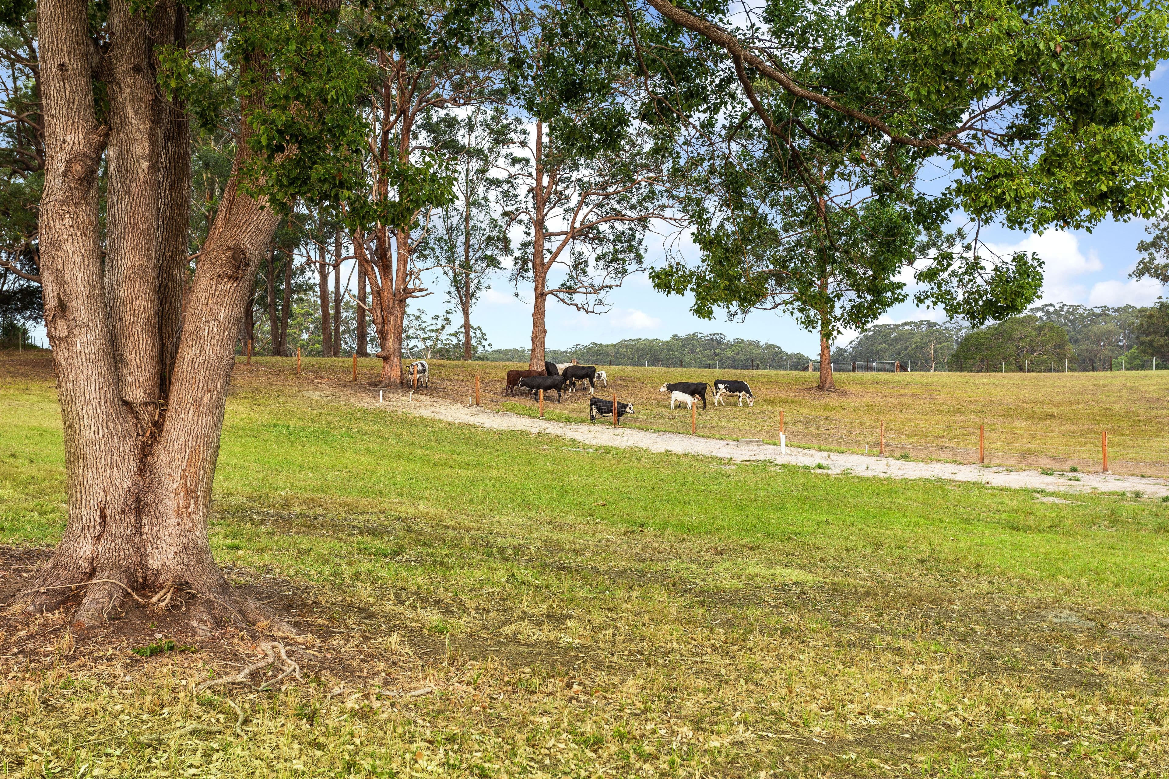 Lot 3 Bangalow Road, Coopernook NSW 2426, Coopernook - Thumbnail 8