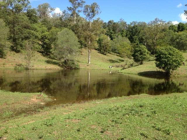 2186 Amamoor Creek Road, Amamoor QLD 4570, Amamoor - Thumbnail 3