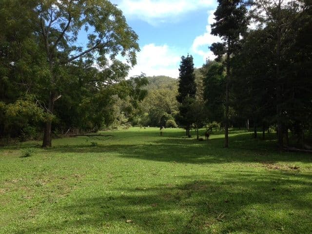 2186 Amamoor Creek Road, Amamoor QLD 4570, Amamoor - Thumbnail 4