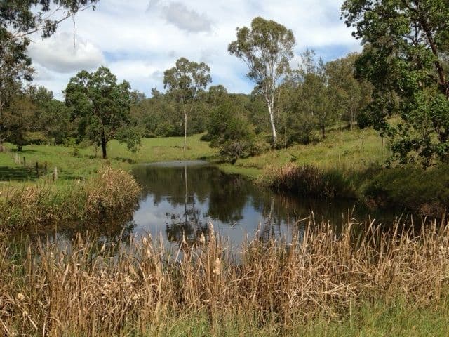 2186 Amamoor Creek Road, Amamoor QLD 4570, Amamoor - Thumbnail 5