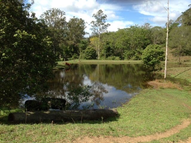 2186 Amamoor Creek Road, Amamoor QLD 4570, Amamoor - Thumbnail 8