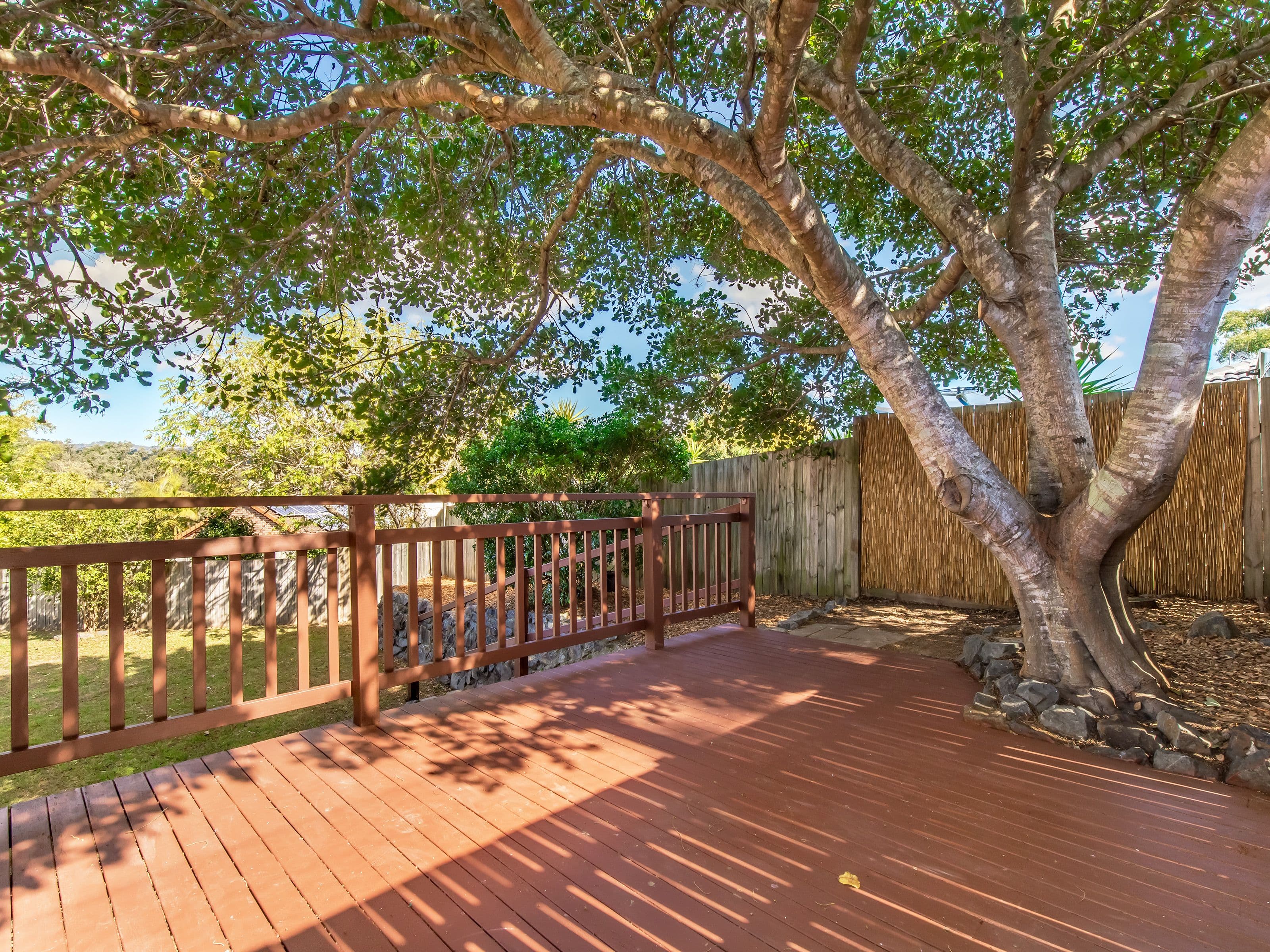 6 Mariposa Court, Nerang QLD 4211, Nerang - Thumbnail 6