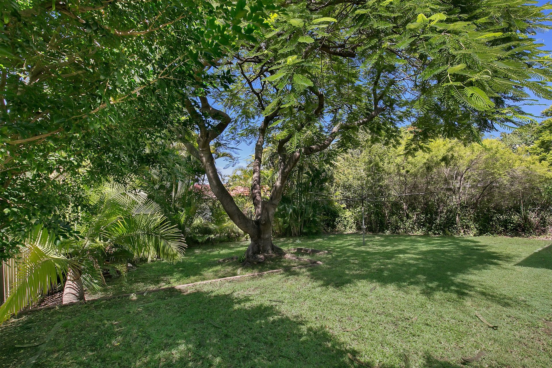 36 Abel Street, Moorooka QLD 4105, Moorooka - Thumbnail 5