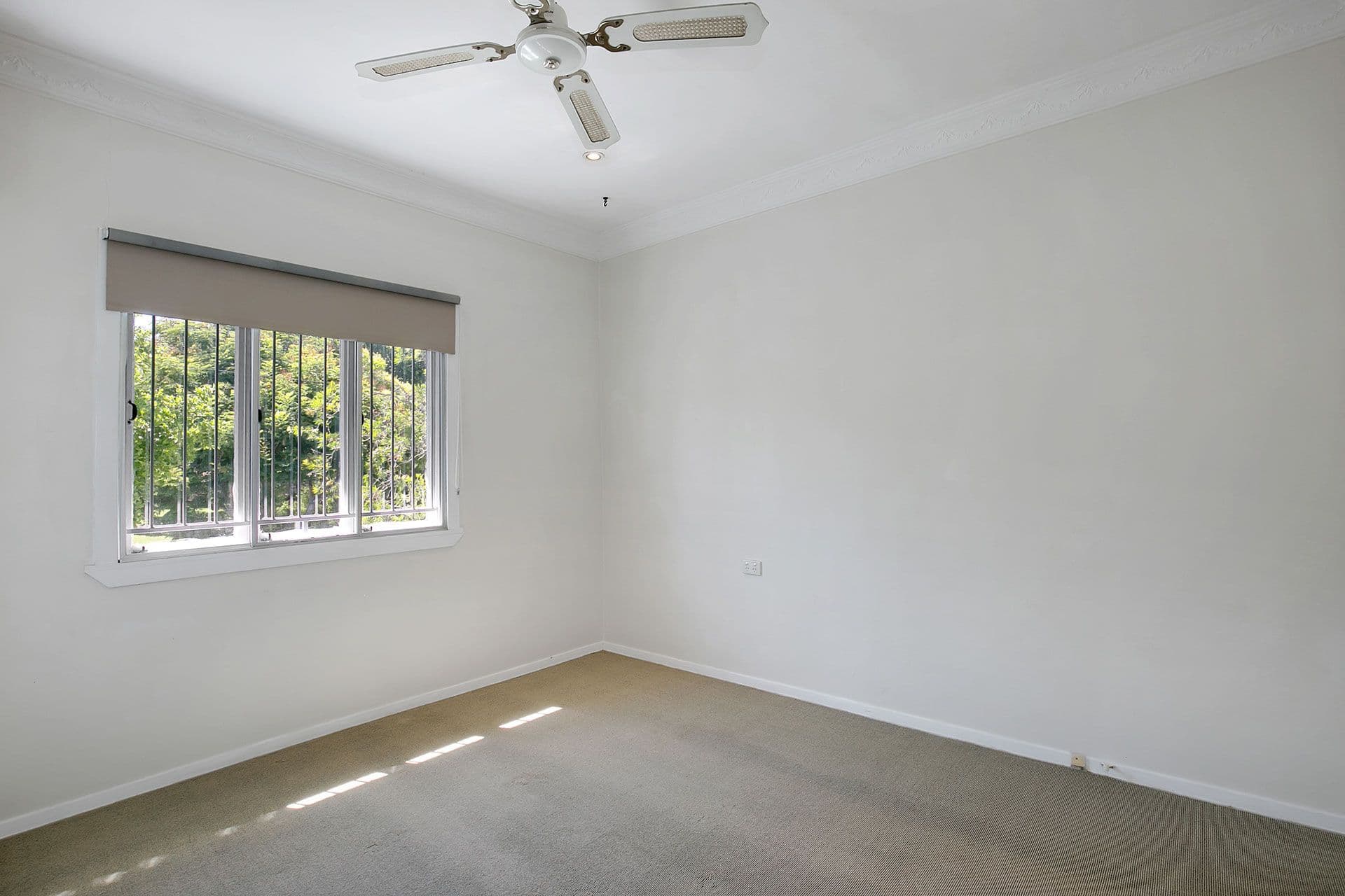 36 Abel Street, Moorooka QLD 4105, Moorooka - Thumbnail 7