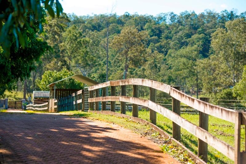28 Kriedeman Road, UPPER COOMERA QLD 4209, Upper Coomera - Thumbnail 4