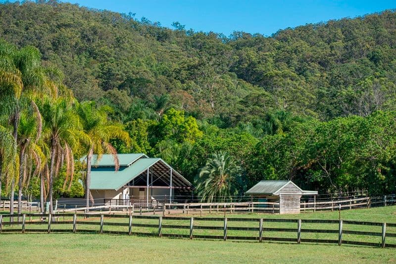 28 Kriedeman Road, UPPER COOMERA QLD 4209, Upper Coomera - Thumbnail 5