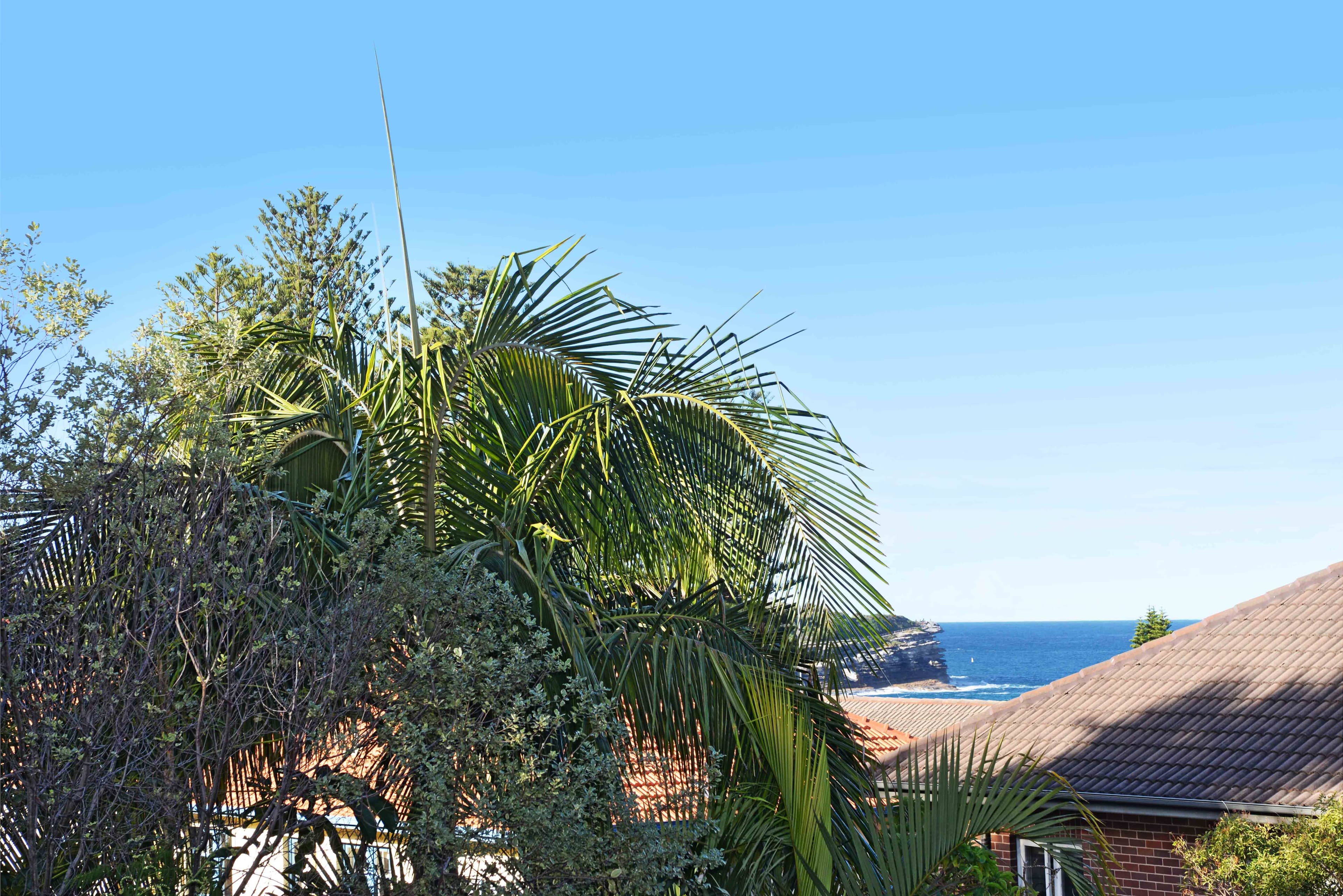 23 Pacific Street, Bronte NSW 2024, Bronte - Thumbnail 8