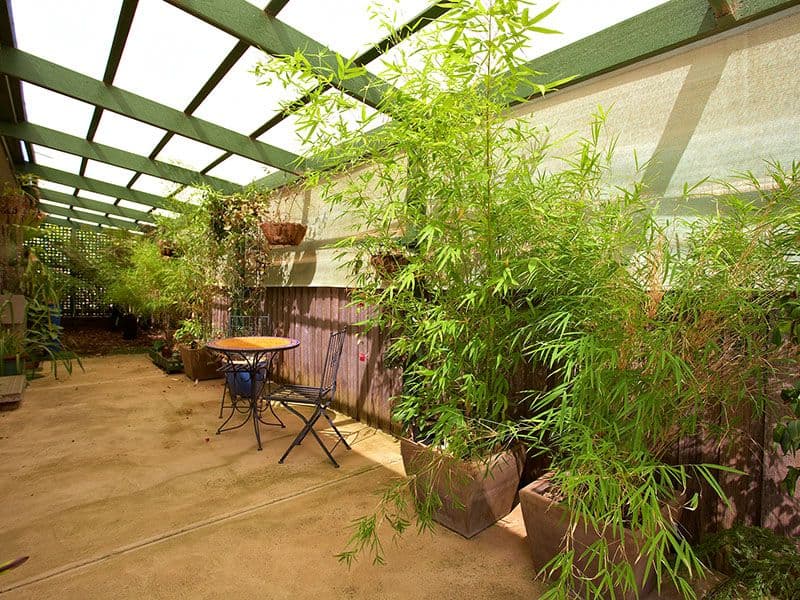 38 Bernard Drive, MELTON SOUTH VIC 3338, Melton South - Thumbnail 4