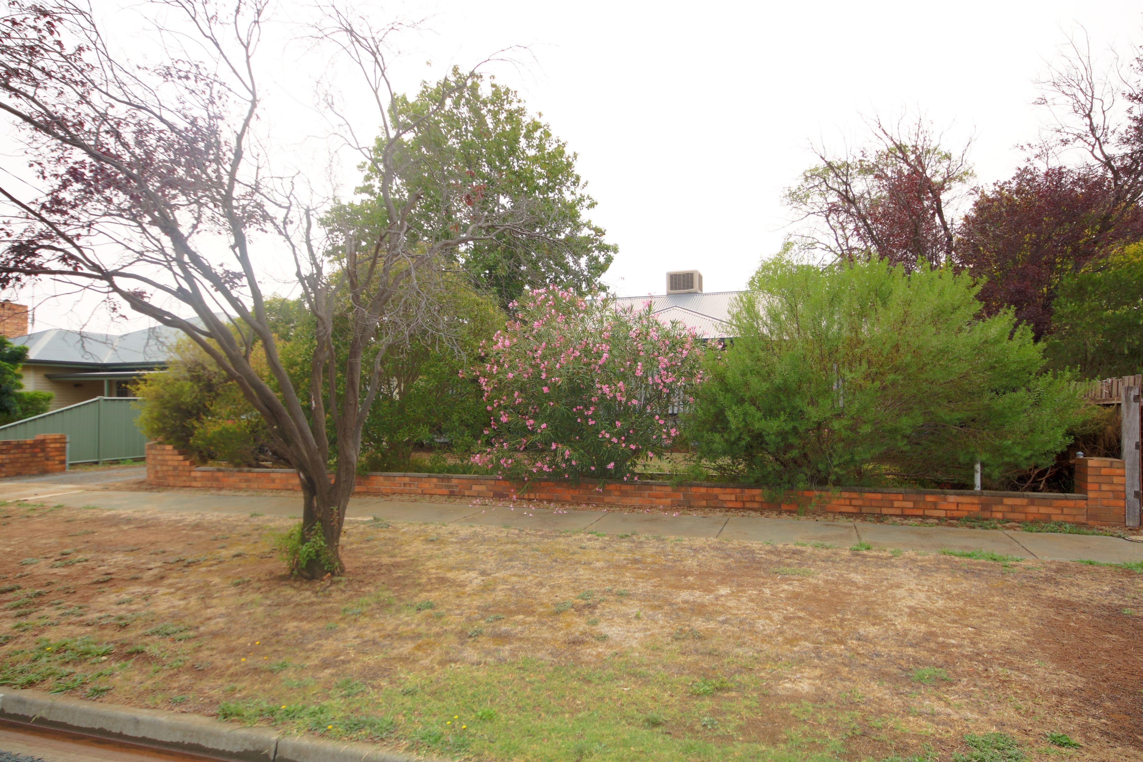 29 Hopetoun Street, Rochester VIC 3561, Rochester - Thumbnail 4