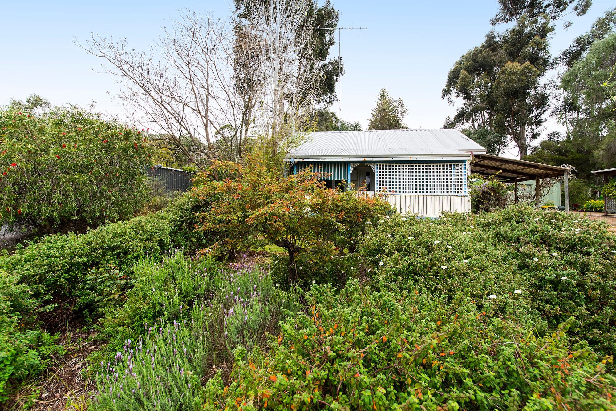 119 Warren Road, Nannup WA 6275, Nannup - Thumbnail 7