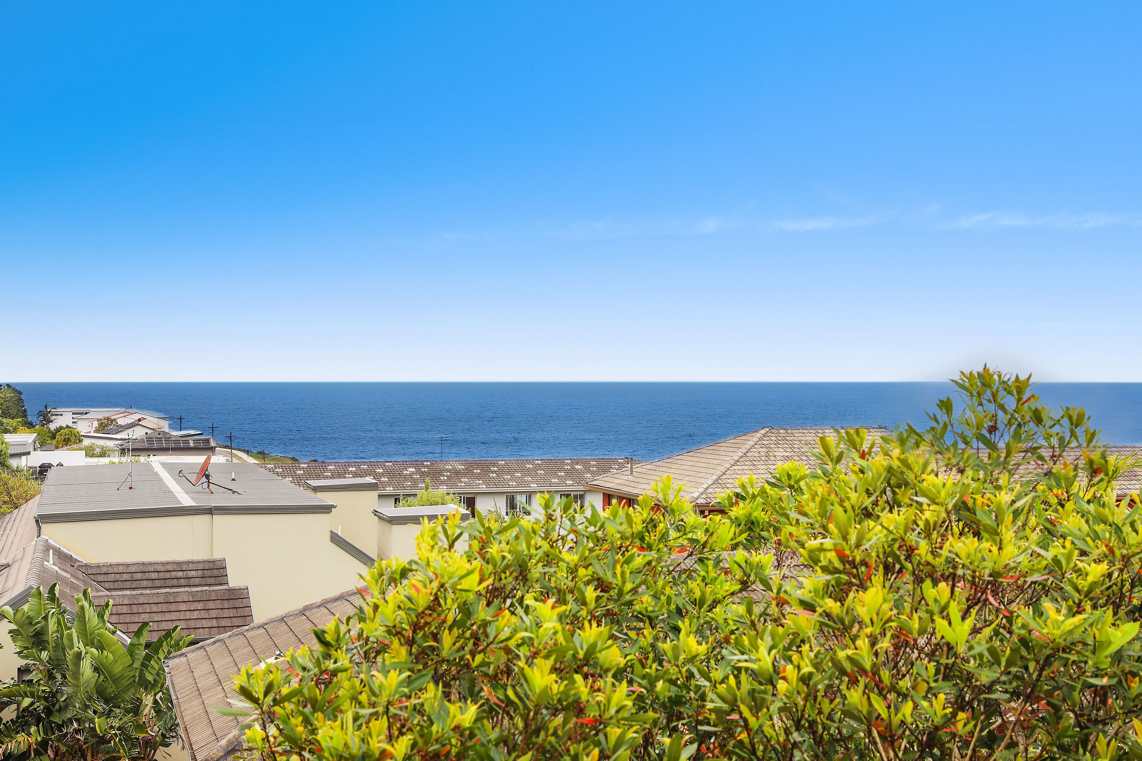 741 Old South Head Road, Vaucluse NSW 2030, Vaucluse - Image 1