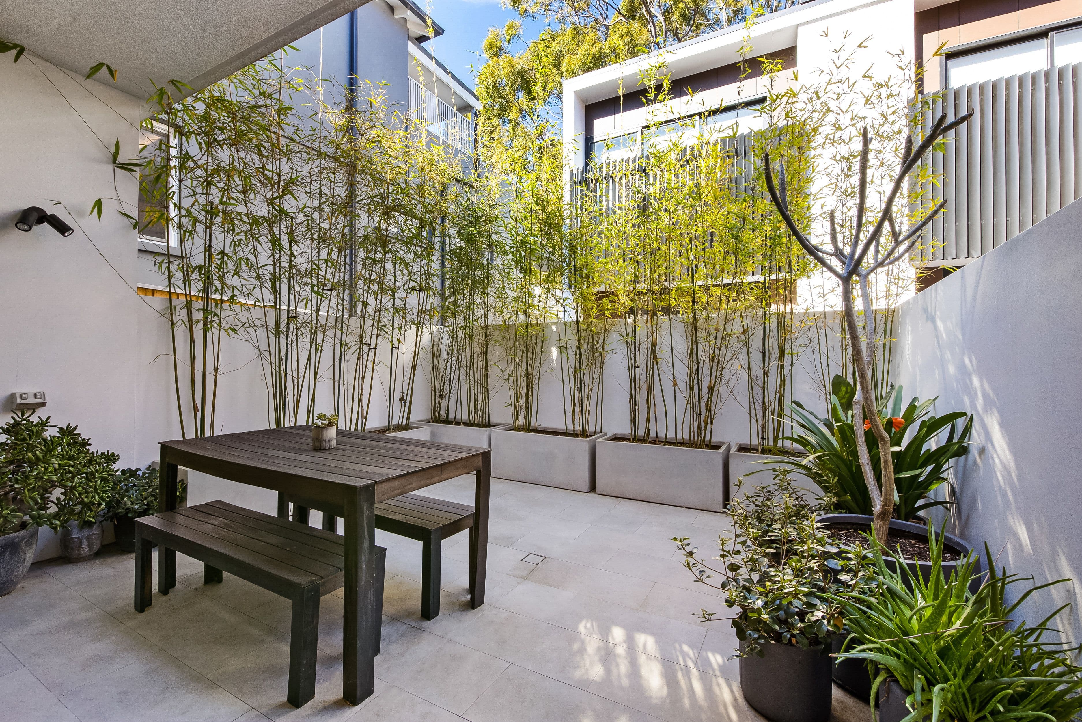 11 Hooper Street, Randwick NSW 2031, Randwick - Thumbnail 5
