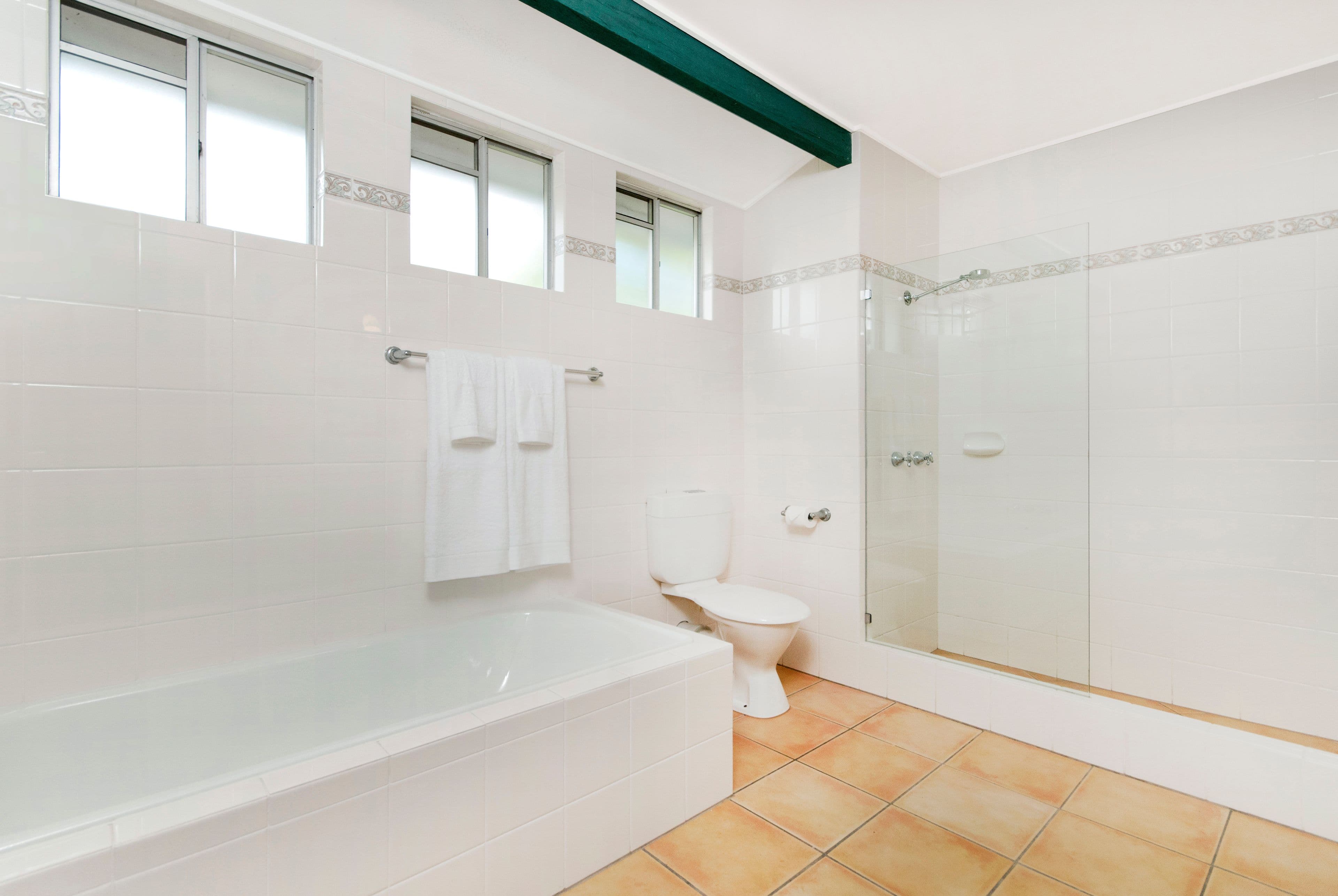 3 Aldinga Close, Whitfield QLD 4870, Whitfield - Thumbnail 7