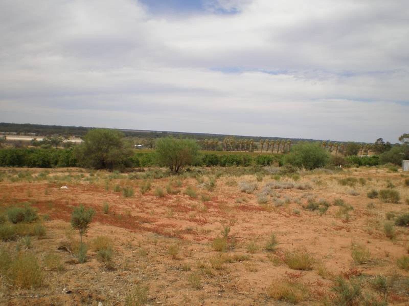 37 Third Street, Merbein, VIC 3505, Merbein - Thumbnail 2