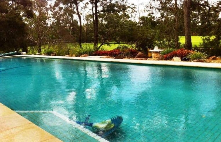 12 Ryder Court, Robina QLD 4226, Robina - Thumbnail 5