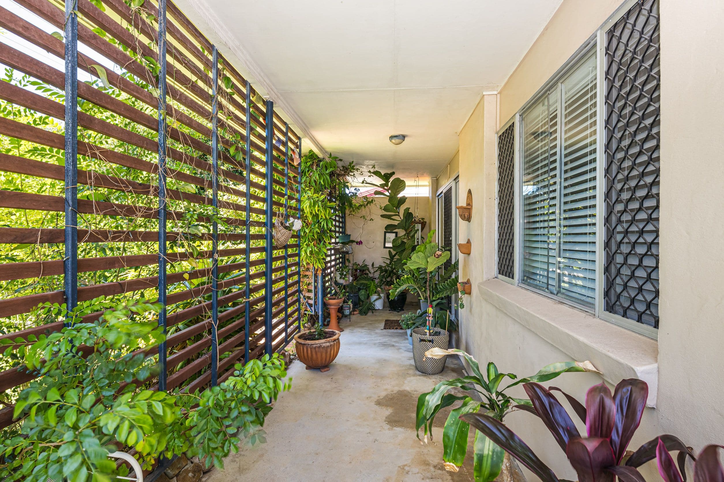 12 Casuarina Street, Bellara QLD 4507, Bellara - Thumbnail 4