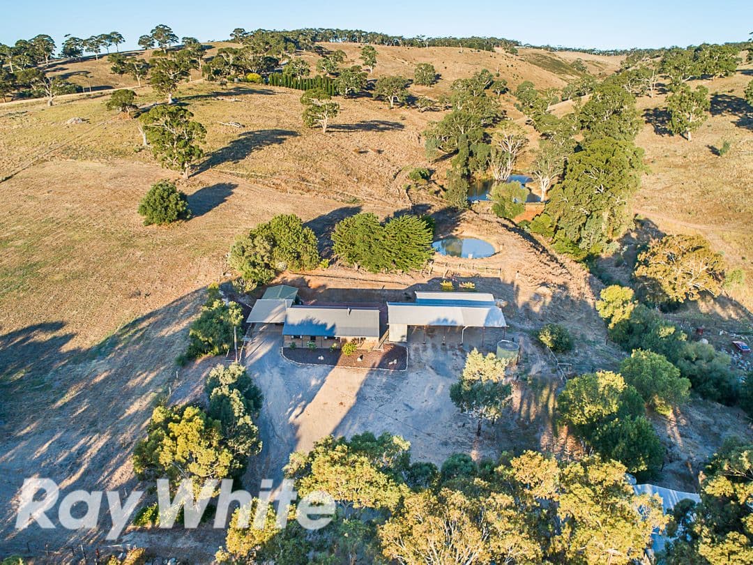 580 Mclaren Flat Road, McLaren Flat SA 5171, McLaren Flat - Thumbnail 4