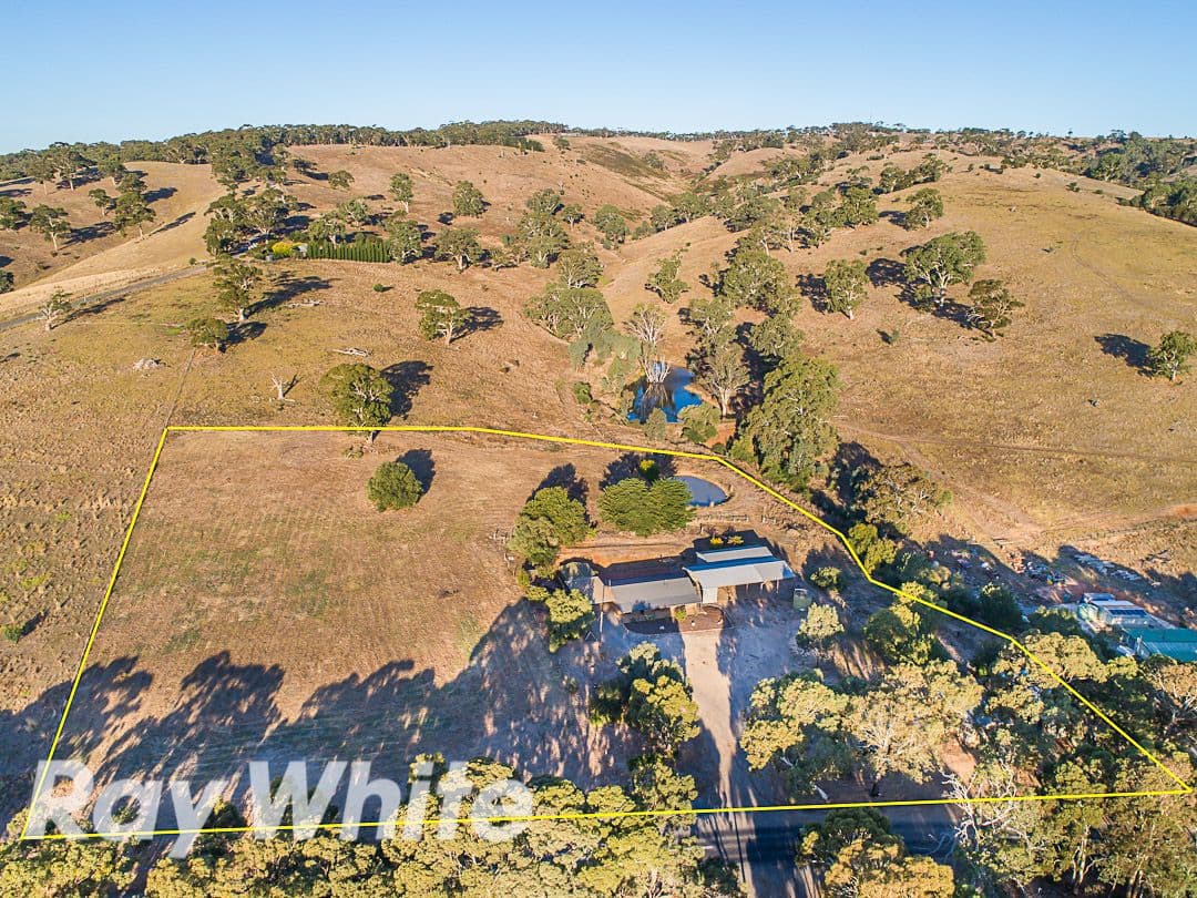 580 Mclaren Flat Road, McLaren Flat SA 5171, McLaren Flat - Thumbnail 5