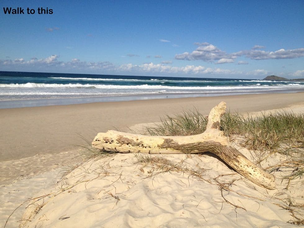 1-7 Canthium Way, CASUARINA NSW 2487, Casuarina - Thumbnail 2