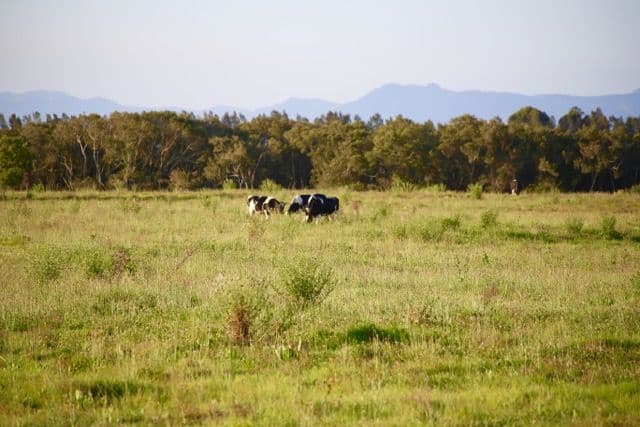69 Newby Road, Pampoolah NSW 2430, Pampoolah - Thumbnail 8