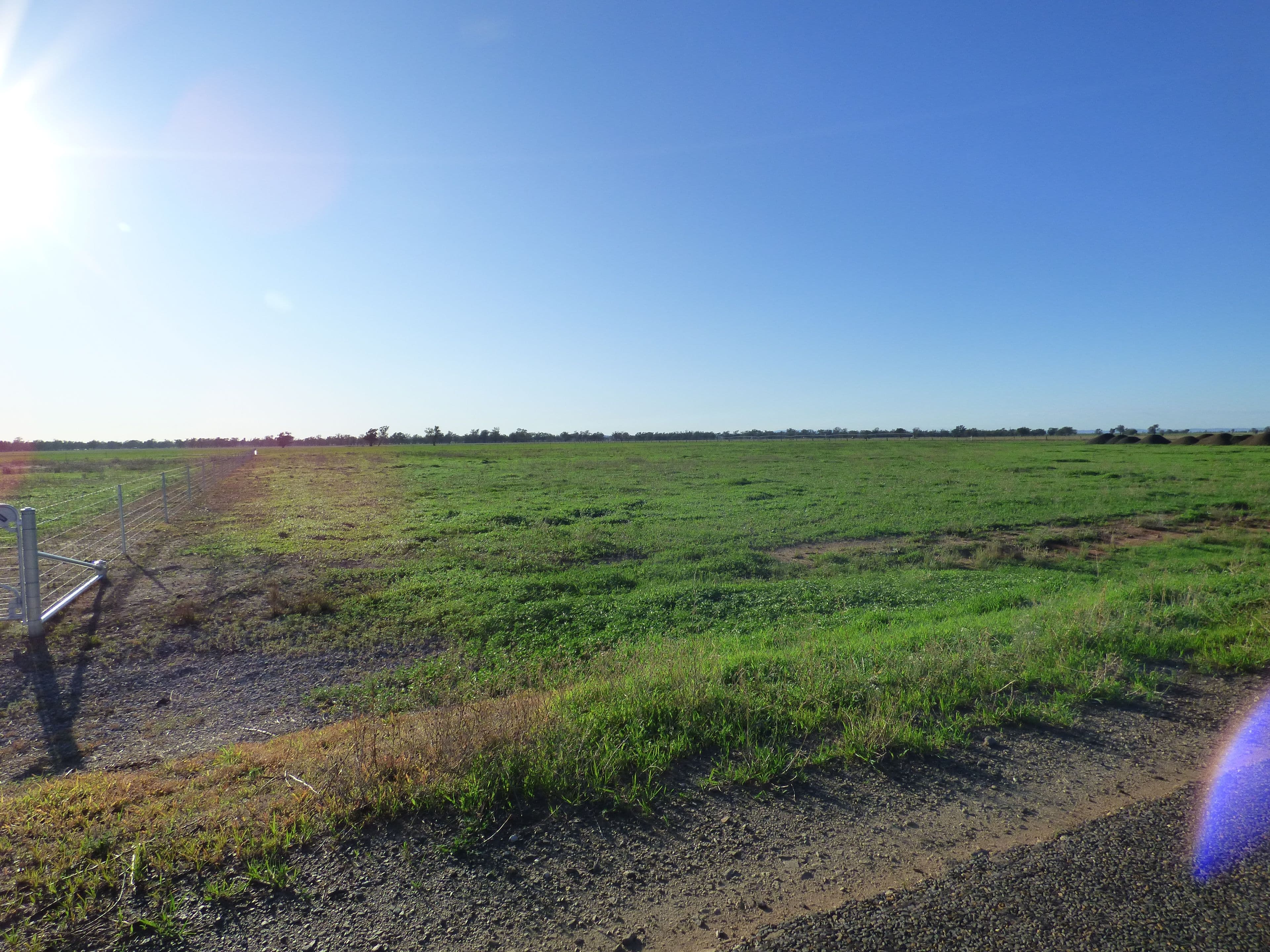 613 Wongajong Road, Forbes NSW 2871, Forbes - Image 1