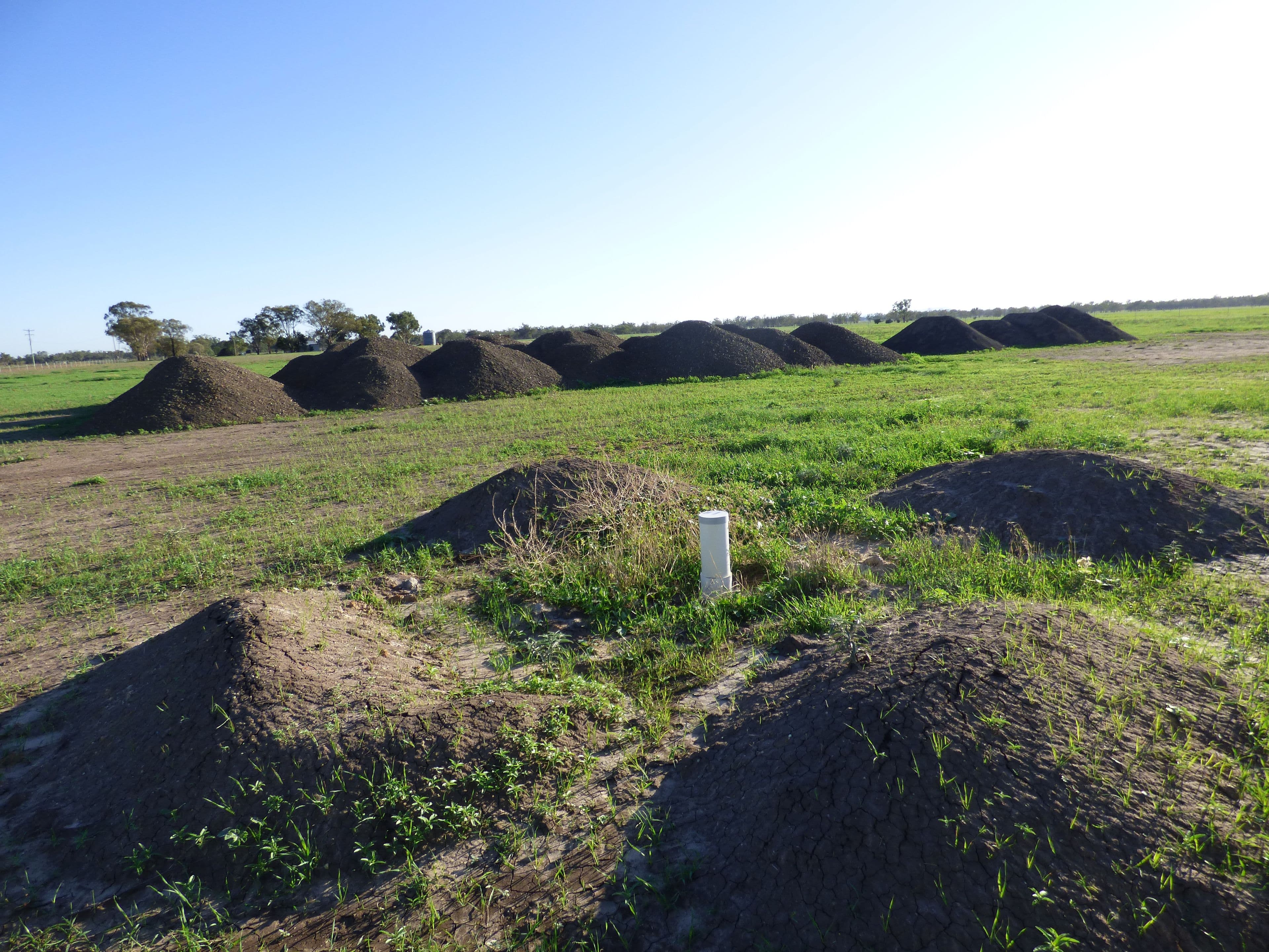 613 Wongajong Road, Forbes NSW 2871, Forbes - Thumbnail 2