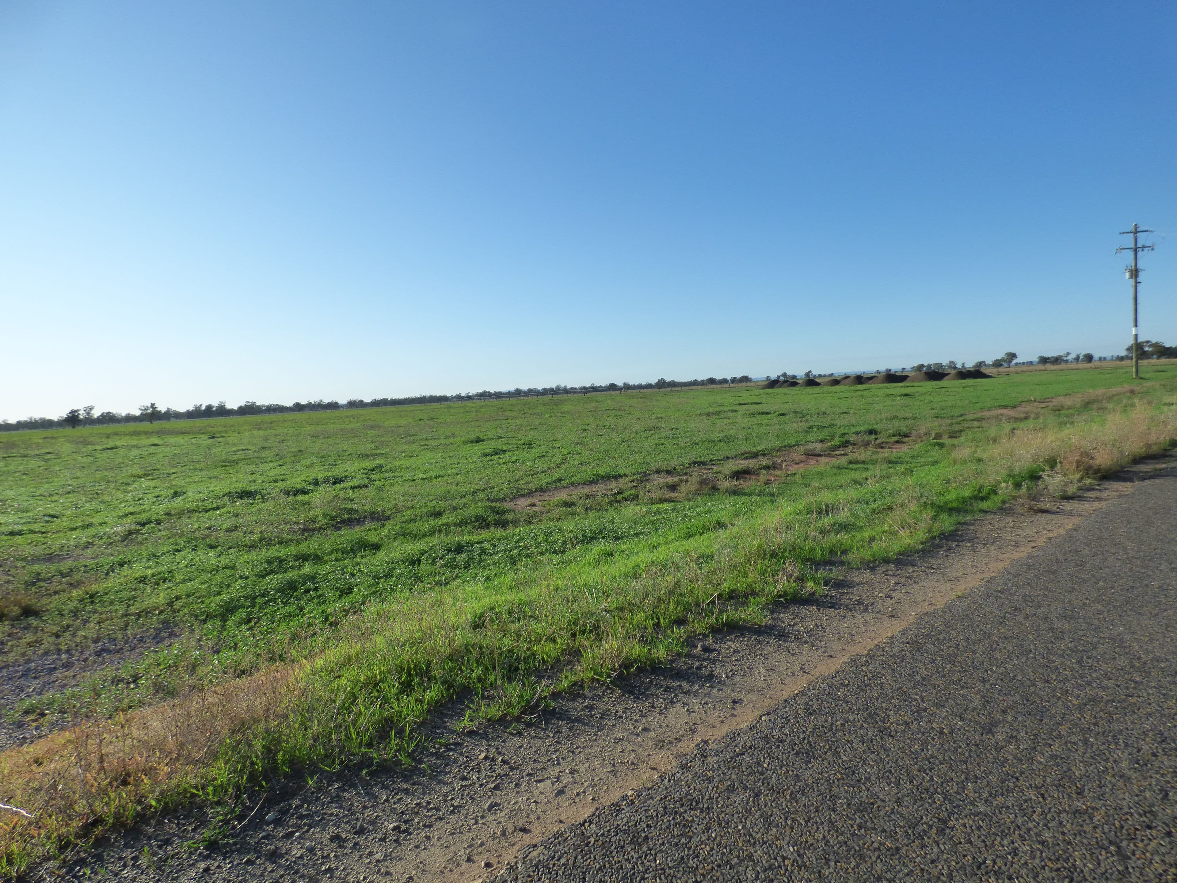 613 Wongajong Road, Forbes NSW 2871, Forbes - Thumbnail 5