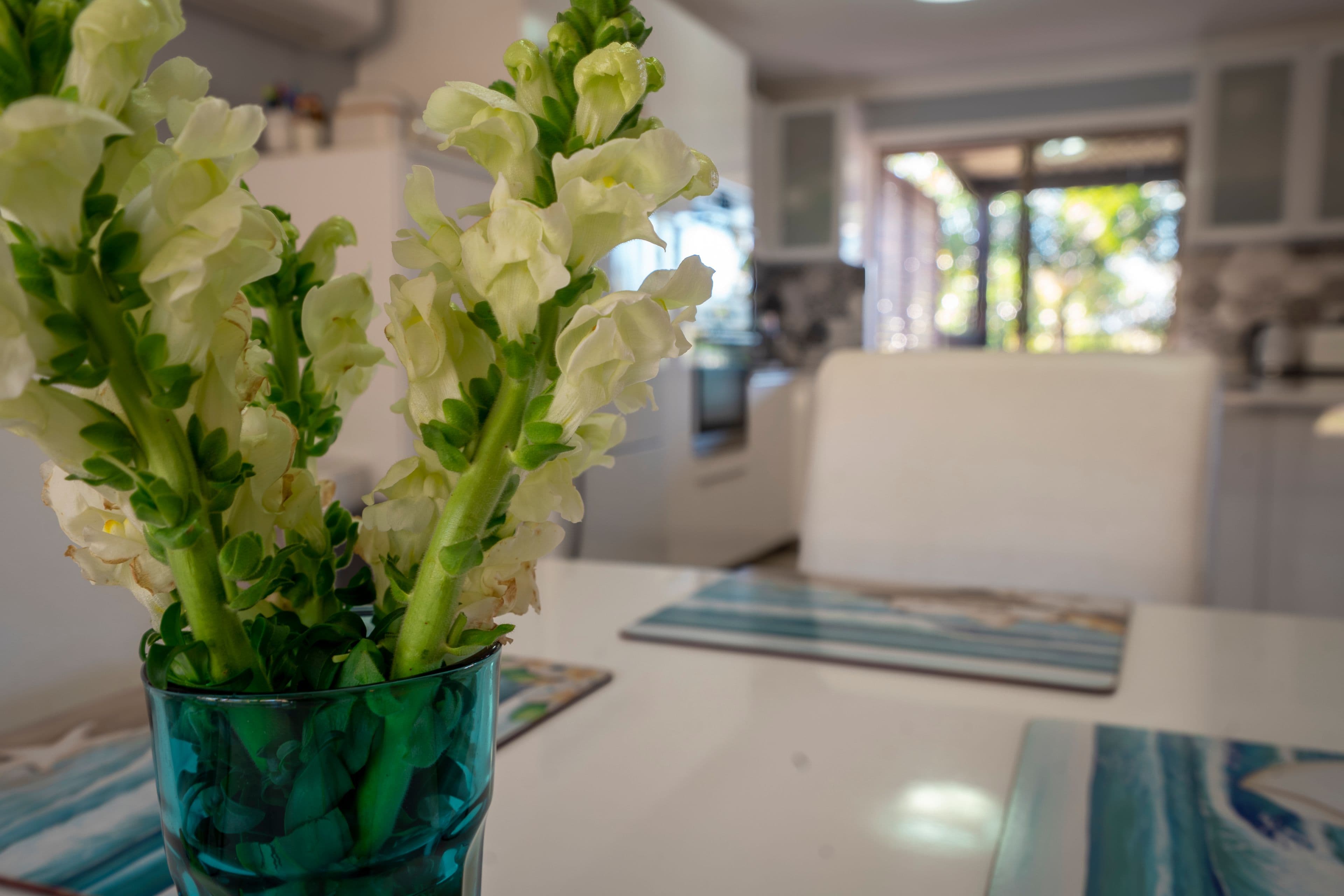 3 Adam Street, Oxenford QLD 4210, Oxenford - Thumbnail 7