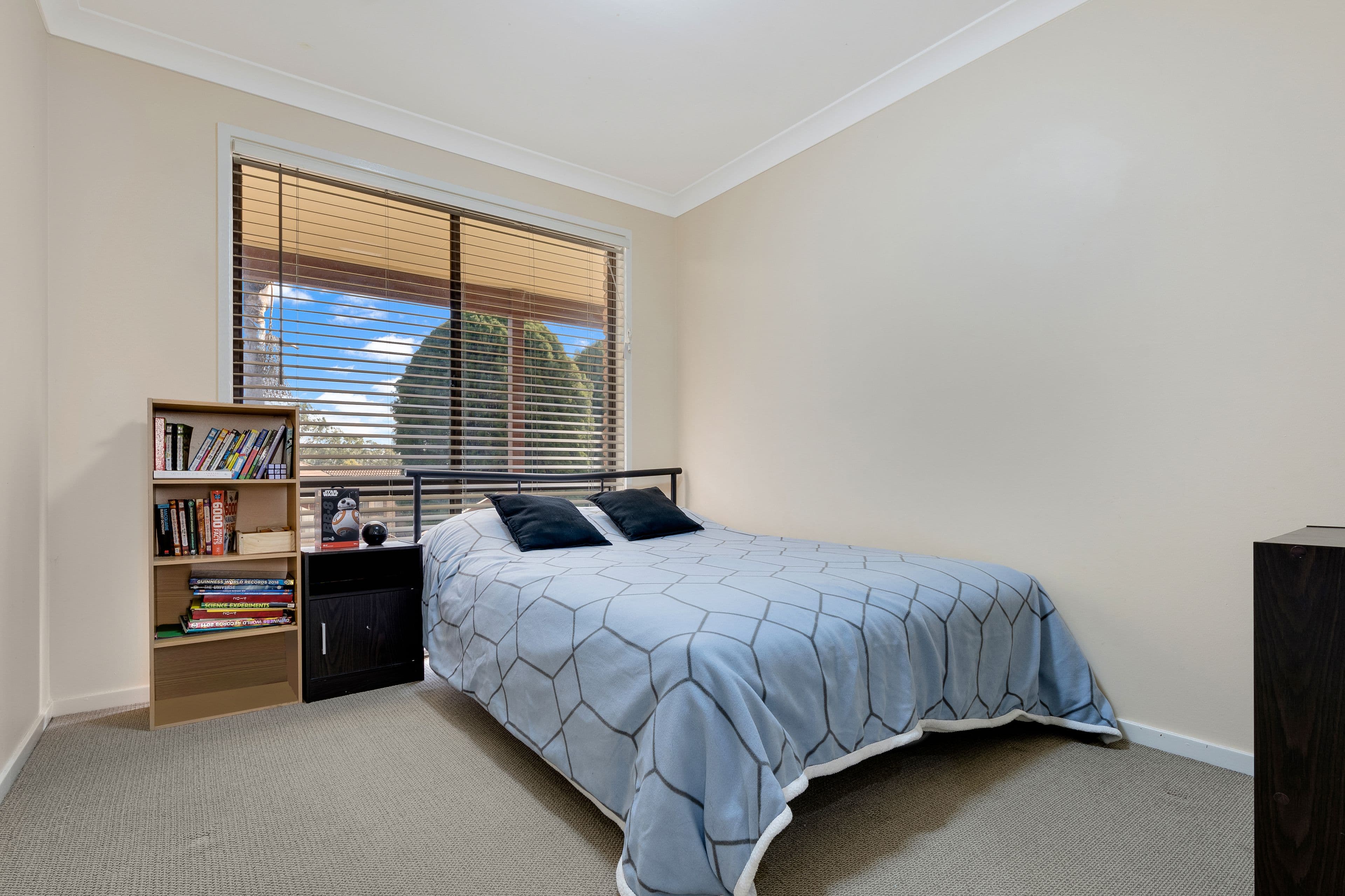 Minto NSW 2566, Minto - Thumbnail 6