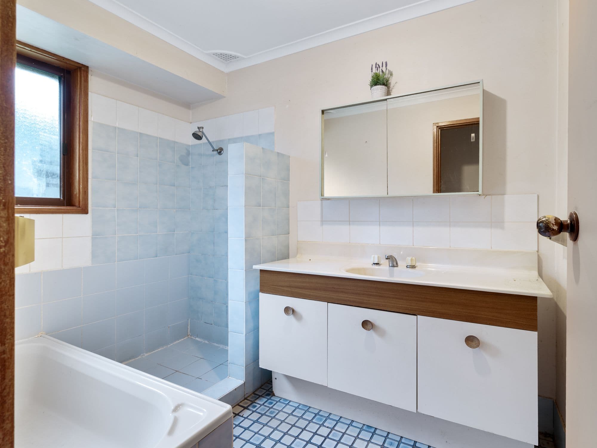 20 Lorenzo Crescent, Rosemeadow NSW 2560, Rosemeadow - Thumbnail 8