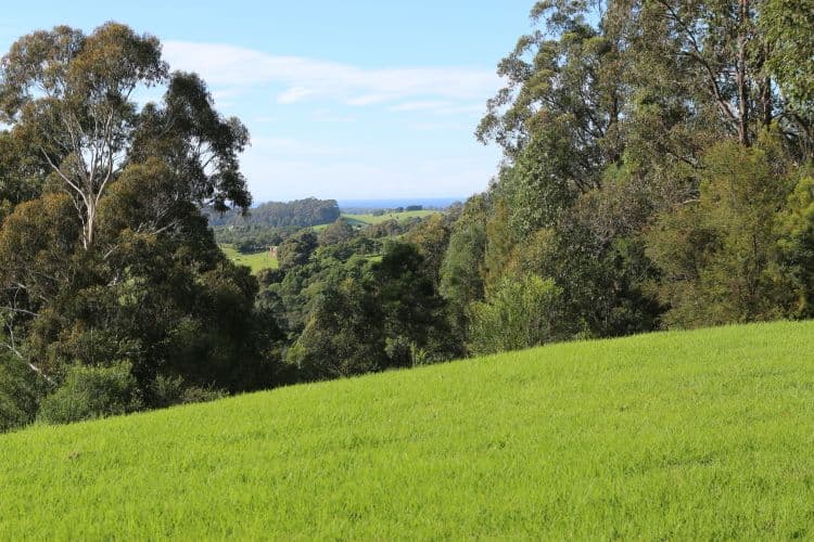 429 Punkalla Tilba Road, CENTRAL TILBA NSW 2546, Central Tilba - Thumbnail 2