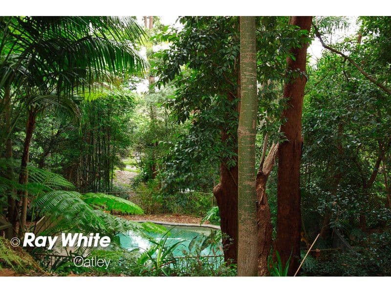 37a Yarran Road, OATLEY NSW 2223, Oatley - Thumbnail 7