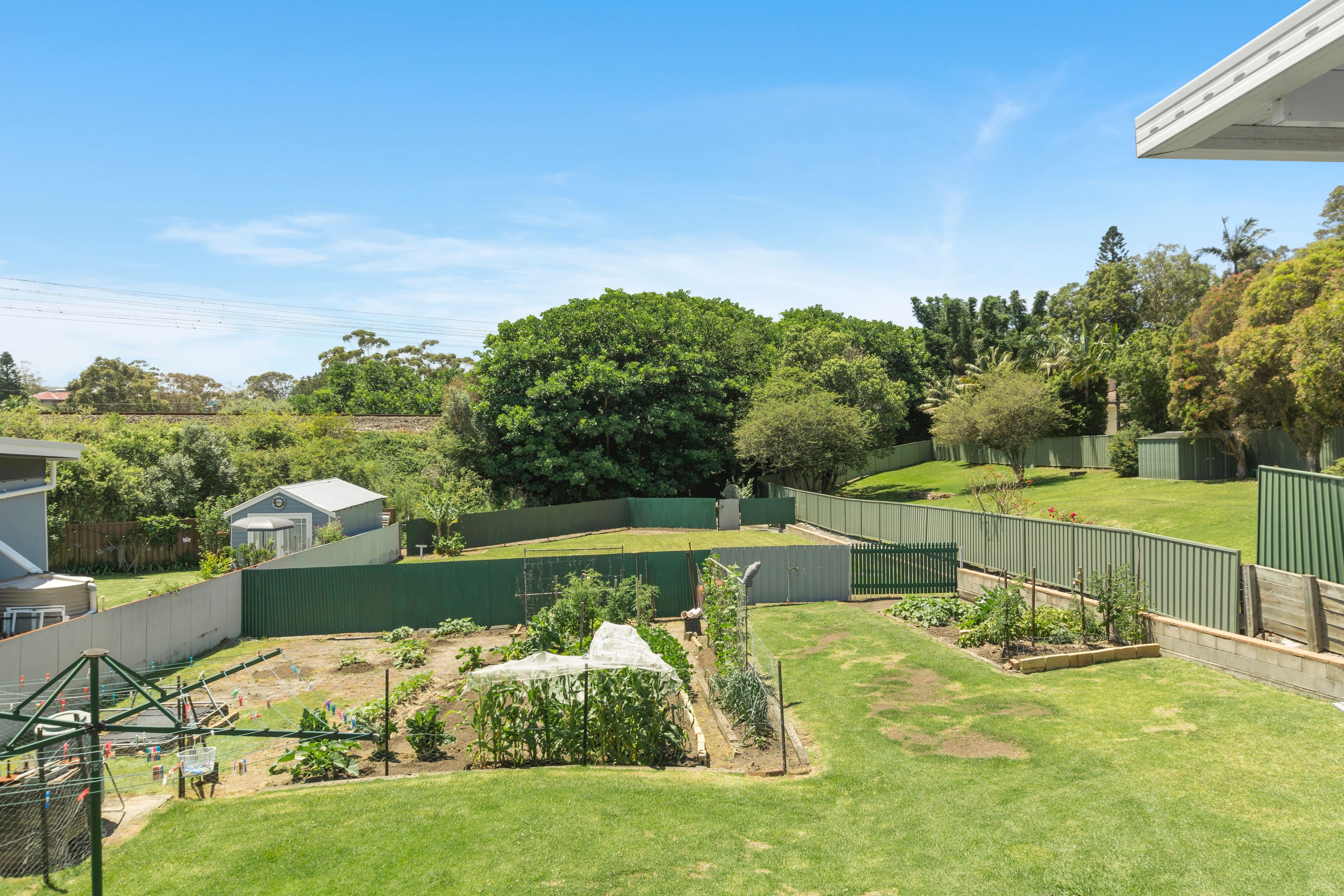 21 Thompson Street, Woonona NSW 2517, Woonona - Thumbnail 2