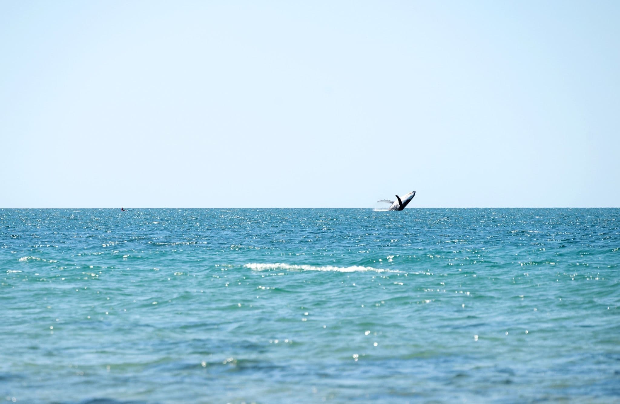1 Daisy Court, Coral Cove QLD 4670, Coral Cove - Thumbnail 6