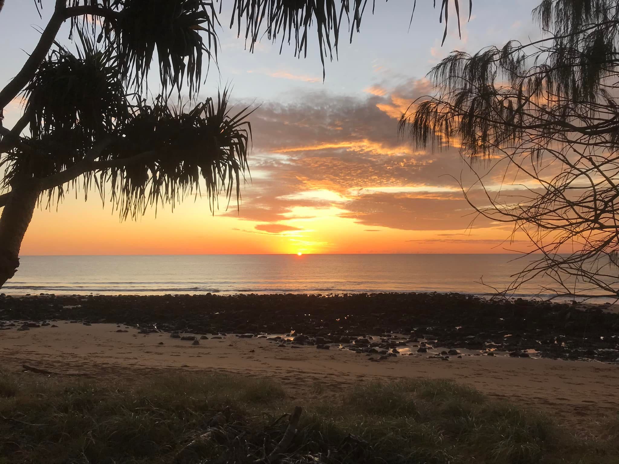 1 Daisy Court, Coral Cove QLD 4670, Coral Cove - Thumbnail 8