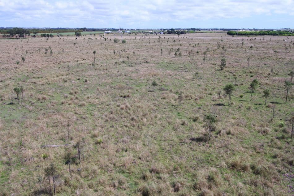Woongarra QLD 4670, Woongarra - Thumbnail 4