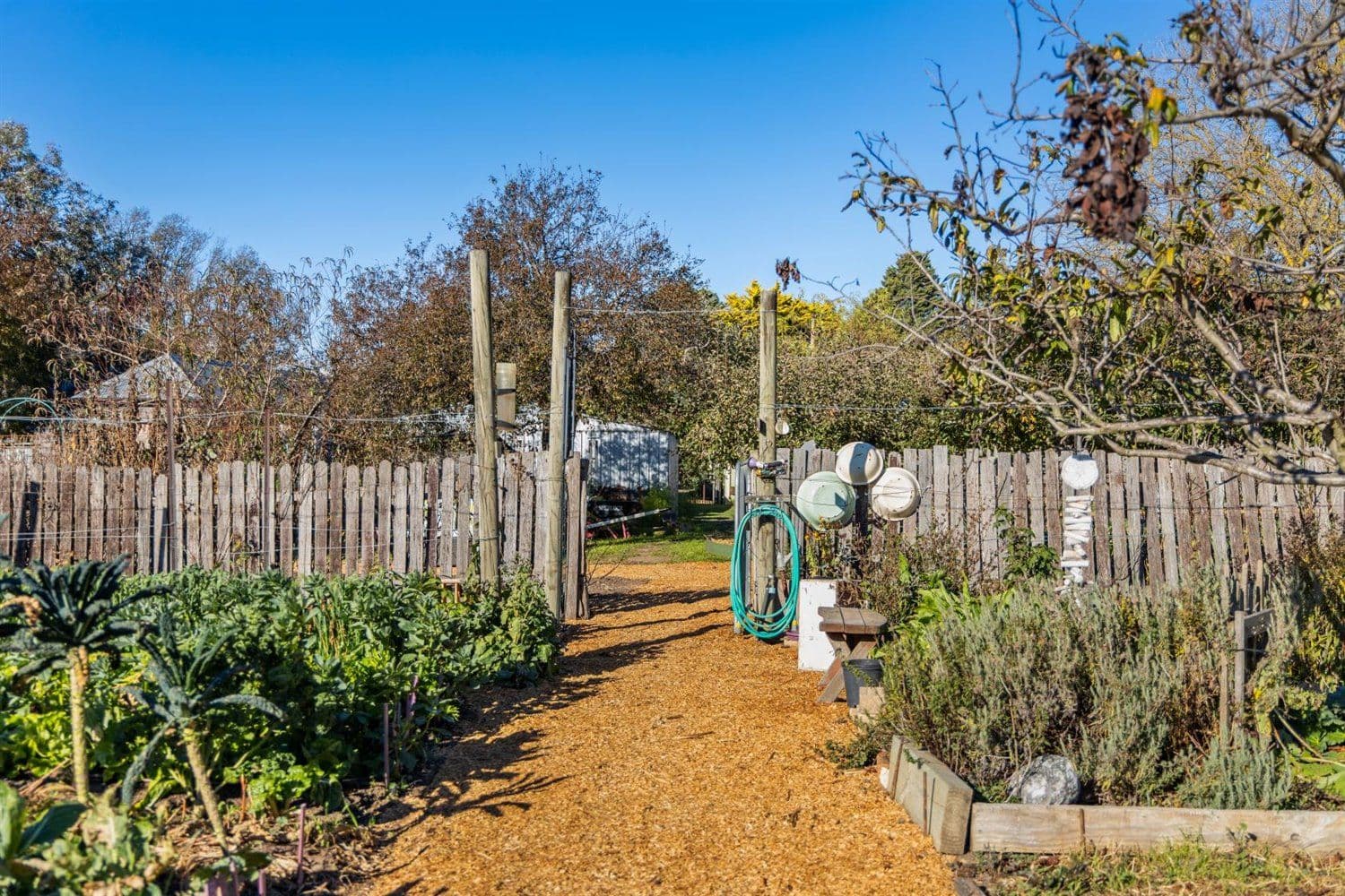 92 Monkittee Street, Braidwood NSW 2622, Braidwood - Thumbnail 3