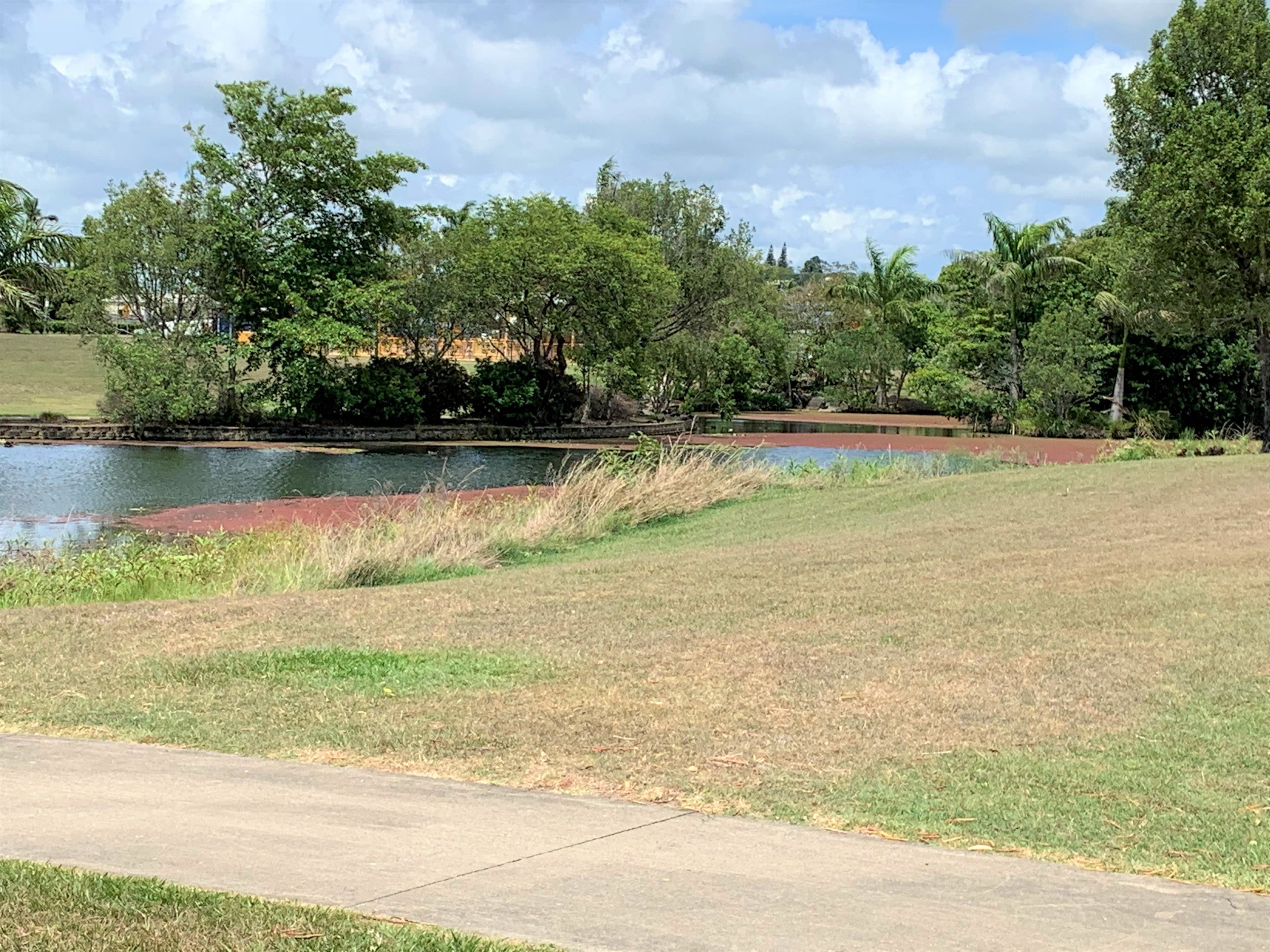 45 Pioneer Street, Glenella QLD 4740, Glenella - Thumbnail 6