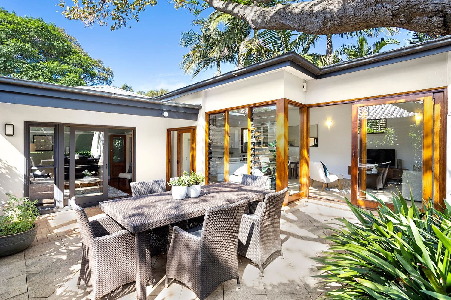 20 Remuera Street, Willoughby NSW 2068, Willoughby - Thumbnail 6