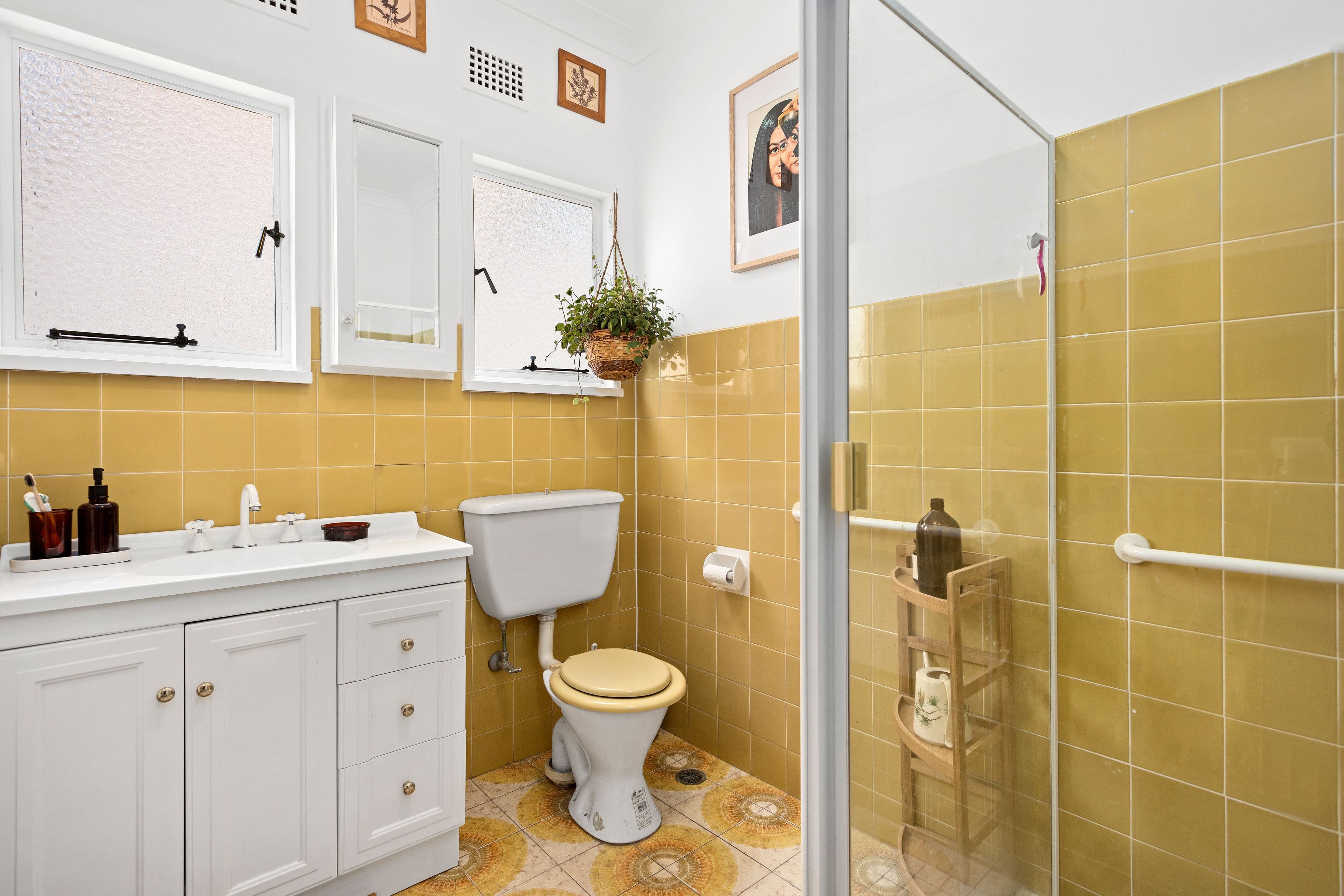 217 Woniora Road, Blakehurst NSW 2221, Blakehurst - Thumbnail 7