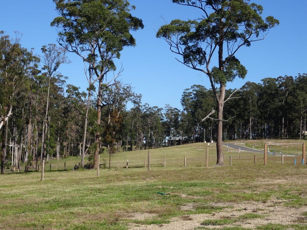 Lot 25 Kingaree Estate, King Creek NSW 2446, King Creek - Thumbnail 3