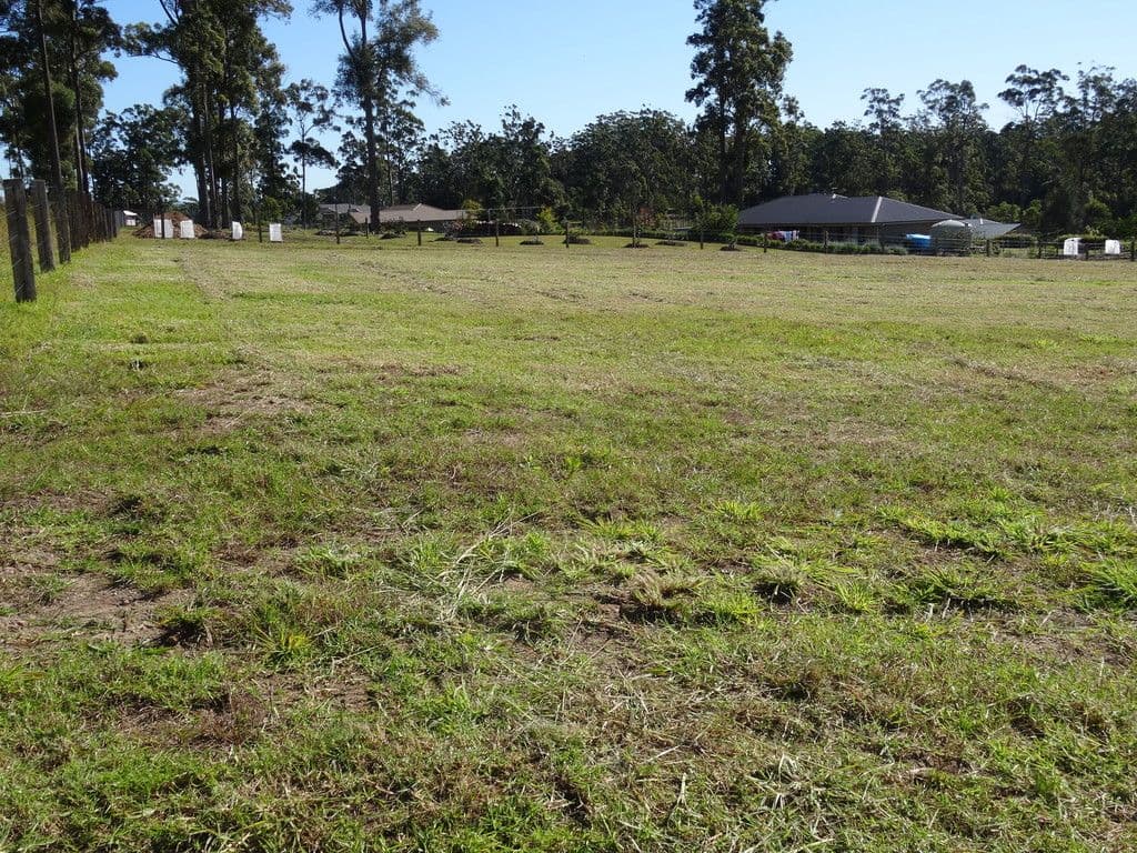 Lot 25 Kingaree Estate, King Creek NSW 2446, King Creek - Thumbnail 6
