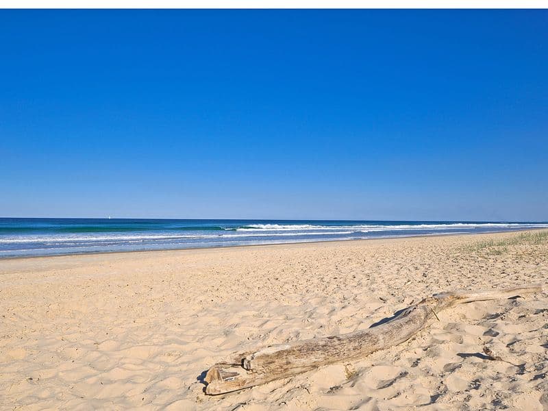 14 Mackerel Street, NOOSA NORTH SHORE QLD 4565, Noosa North Shore - Thumbnail 2