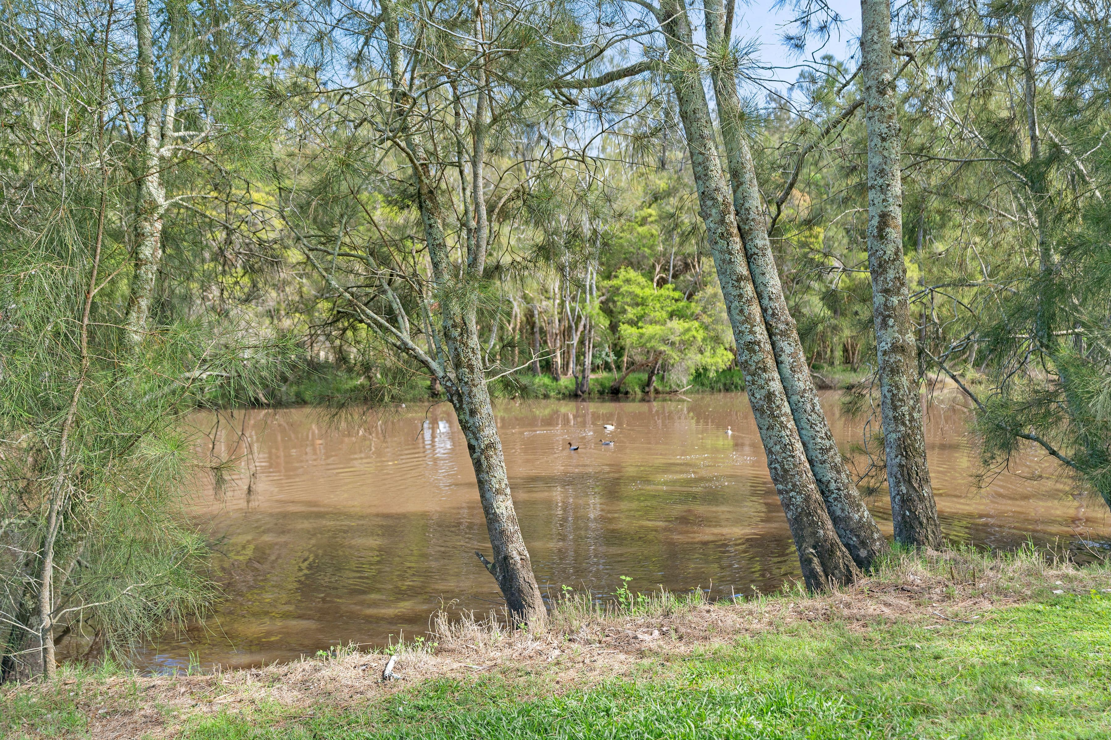 14/1a Stockton Street, Morisset NSW 2264, Morisset - Thumbnail 5