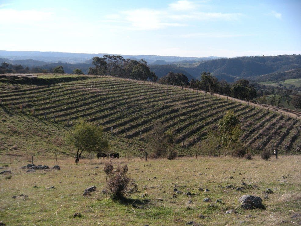 Lot 5 Timperi Drive, LITTLE HARTLEY NSW 2790, Little Hartley - Thumbnail 4