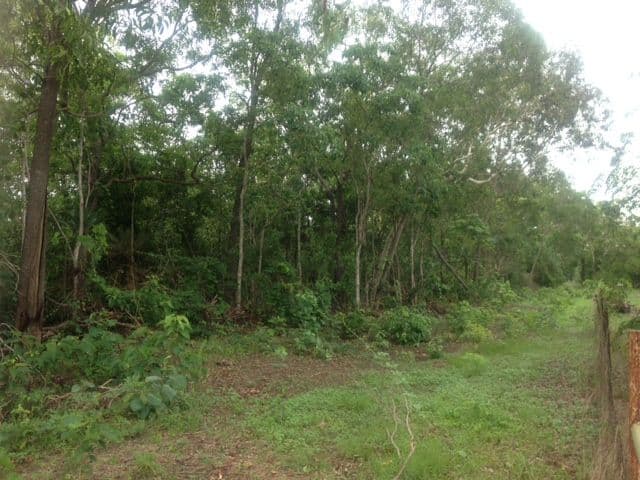 Lot 3125 82 Zuleika Road, Dundee Beach NT 0840, Dundee Beach - Thumbnail 3